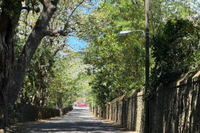 50 Perches Residential Land for Sale in St Antoine