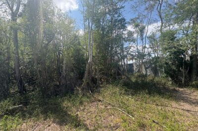 Residential Land for Sale in Balaclava – 254 Toise – Rs 12,000,000