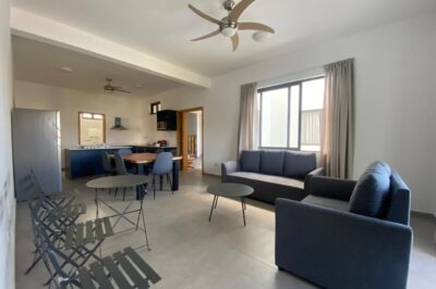 Apartment for rent in the heart of pointe aux Cannonier.