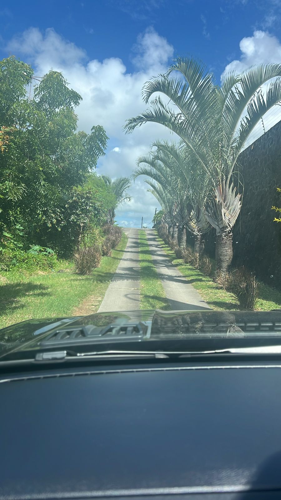 Land for Sale Calodyne – Mauritian Buyers only