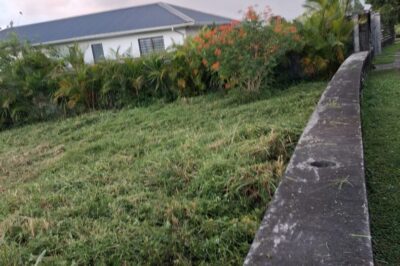 Residential Land for Sale in Mapou